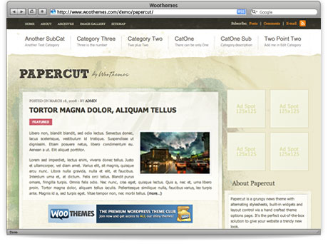 Papercut_WordPress_Premium_Theme